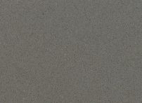 Gris Expo