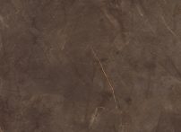 MB_08_Pulpis_Brown